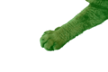 a mysterious paw